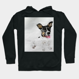 COCO BOY Hoodie